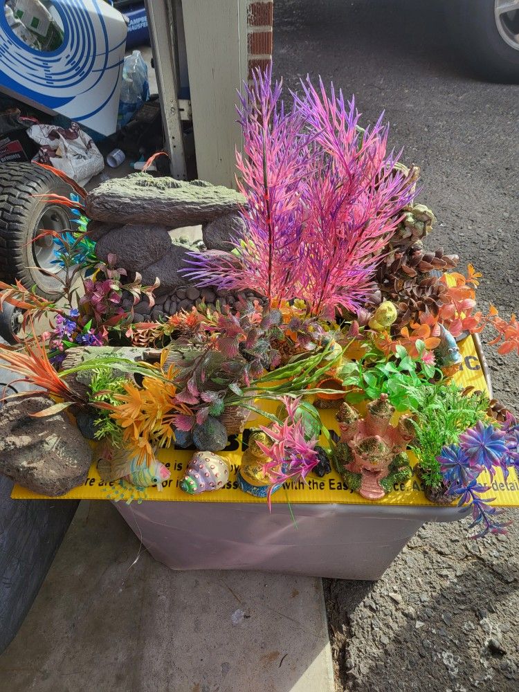Acuario Acessorios
