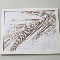 Frames print