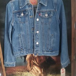 Levi Strauss Blue Jean Jacket