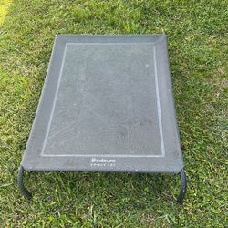 Cooling elevated dog bed