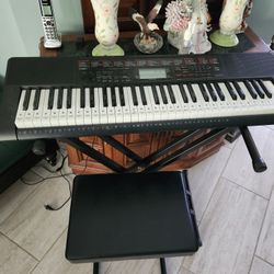 Casio Keyboard For Beginners 