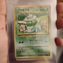 Japanese Pokemon Cards All Ready To Be Sent To Grade!