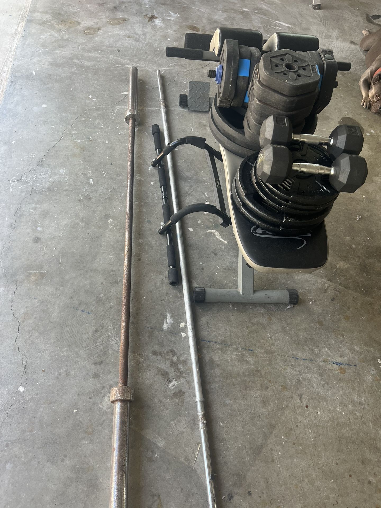 Weights , Bench , Barbell , Dumbell