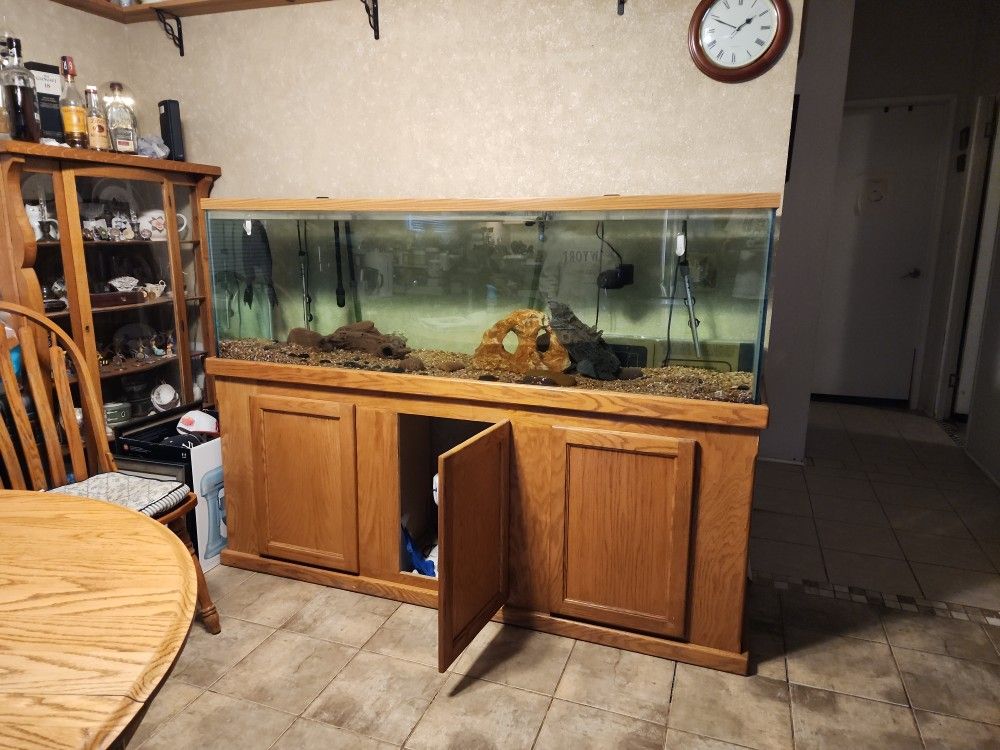 150 Gallon Aquarium And Stand
