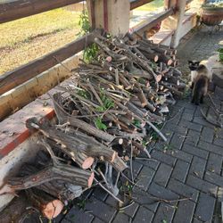 Firewood