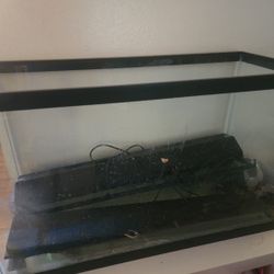 Fish Tank Aquarium 