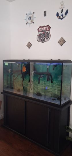 Fish tank