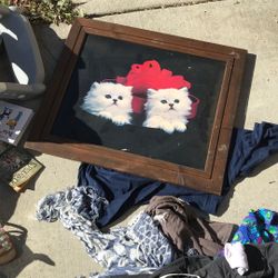 Cat Picture No Glass