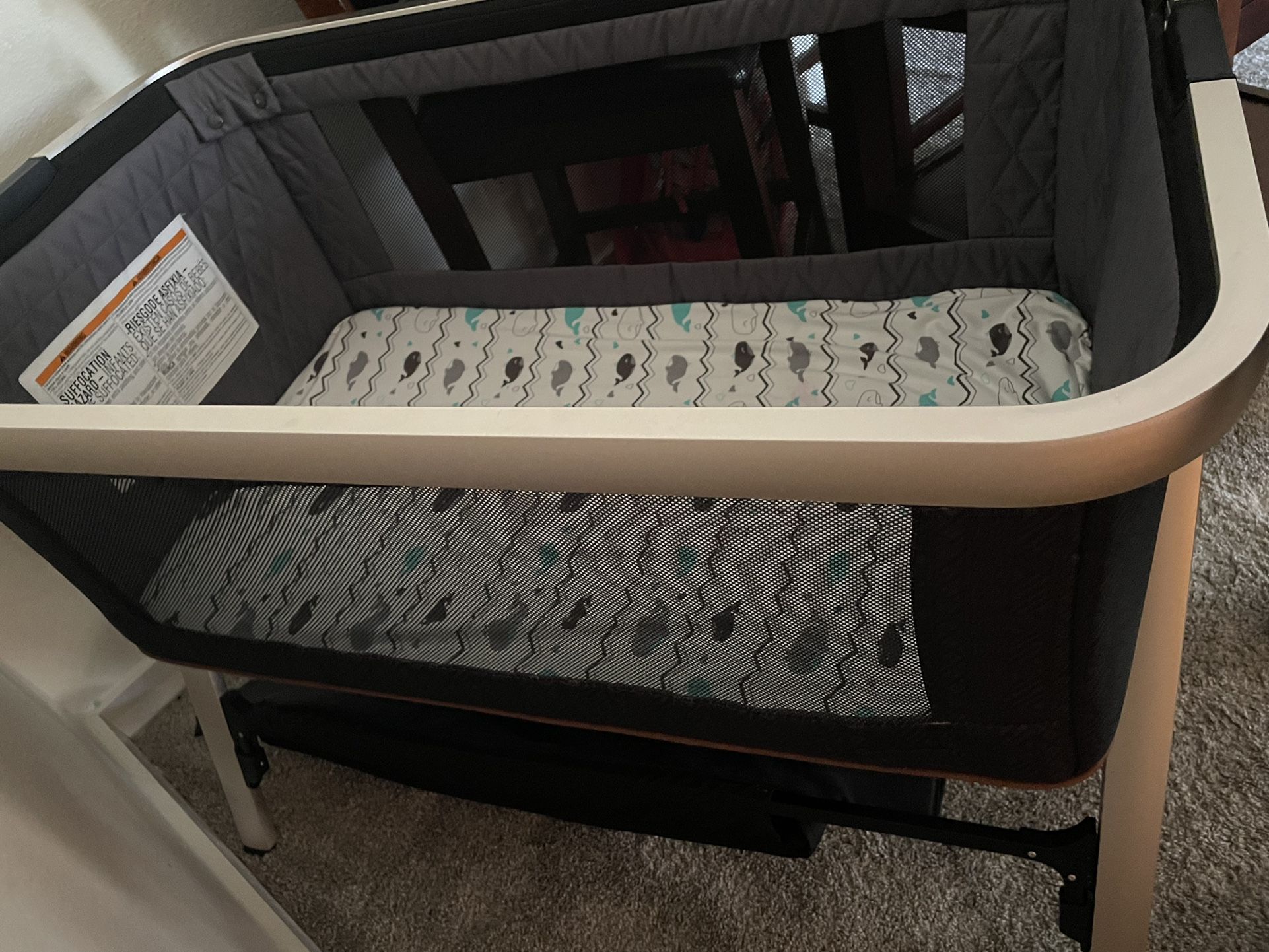 Bassinet O Moises 