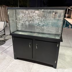 60 Gal Fish Tank with Sump and Accesories