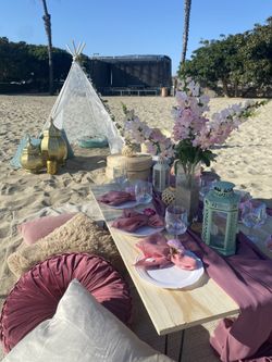 Turnkey Picnic Setup for Sale – Seats 15, Fully Equipped!