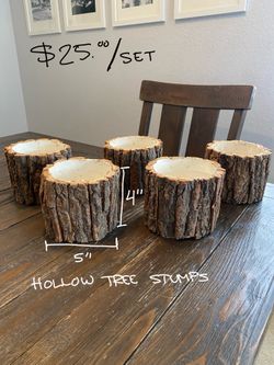 Tree Trunk / Tree Stump Vases