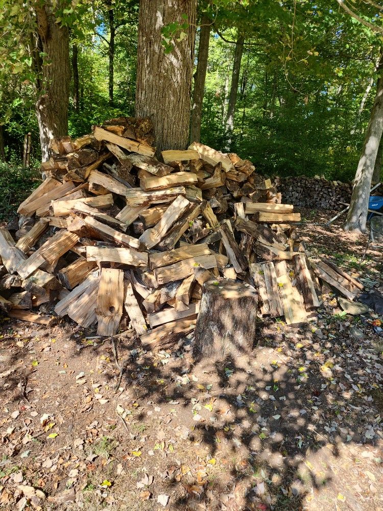 Seasoned Firewood