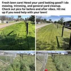 Lawnmower
