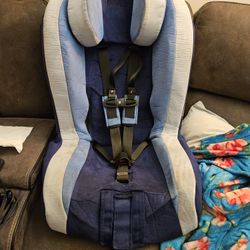 Roosevelt Adaptive Car Seat