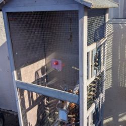 Wooden Bird Cage, 40 OBO 