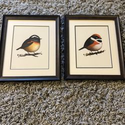 Set of 2 Original Framed Bird Drawings – Signed by Artist