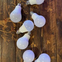 7 New Lightbulbs