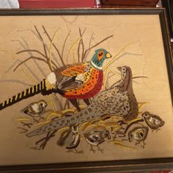 Pheasant Pictures 