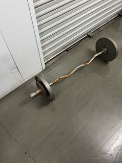 Olympic curl bar