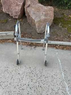 Adult Walker
