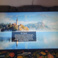 LG 50" TV