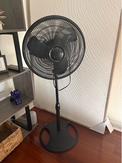 Fan
