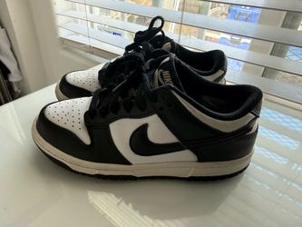 Nike dunks youth