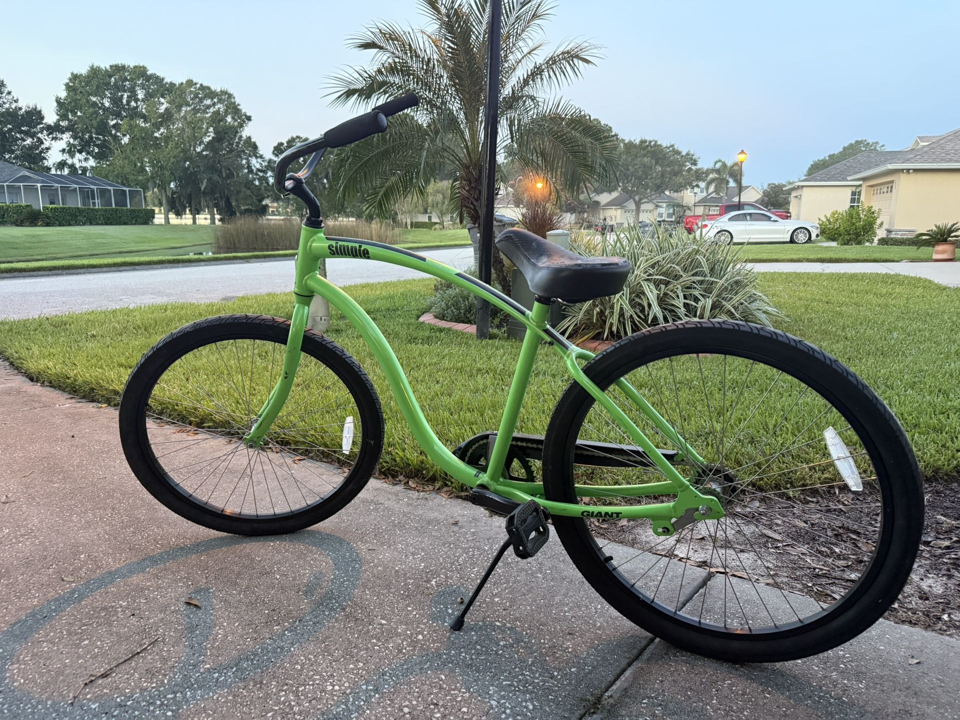 Adult Beach Cruiser Bike- Giant Green