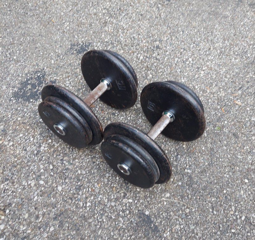 40 Lb Each PRO STYLE Dumbbells Weights 