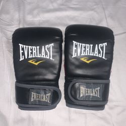 Everlast MMA Heavy Bag Gloves 