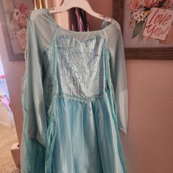 Princess Frozen Costume 