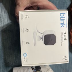 Blink mini camera
