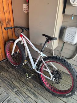 Framed Fat Bike