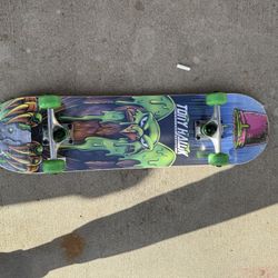 Tony Hawk Skateboard 
