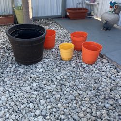 Pote De Planta New