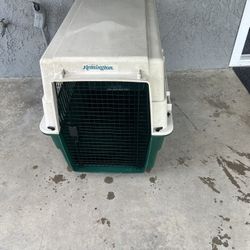 Dog Kennel 