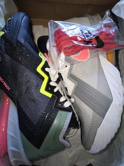Lebron Space Jam Shoes Bugs Bunny