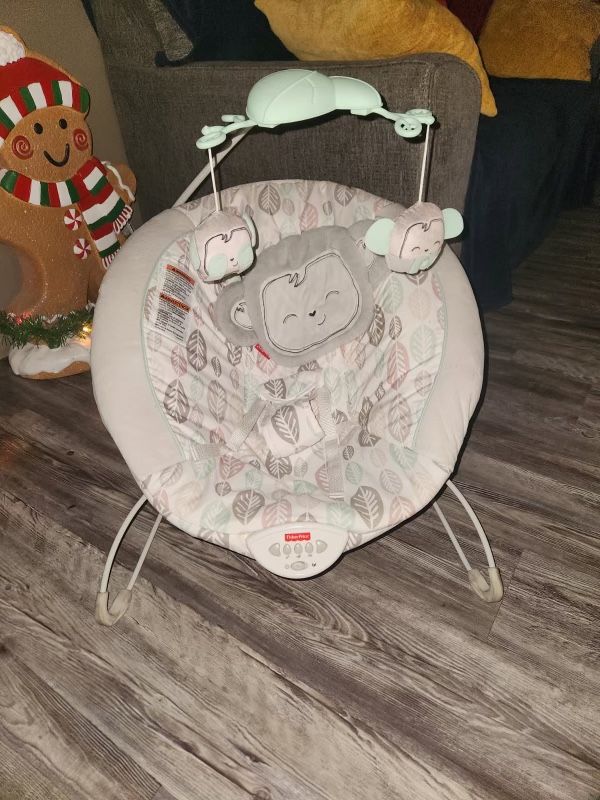 Baby Bouncer And Swing