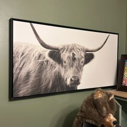 Highland Cow Framed Art