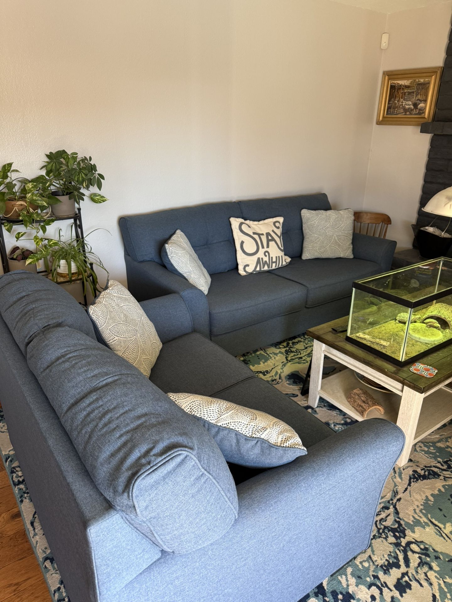 Living Spaces Sofa Sleeper Set