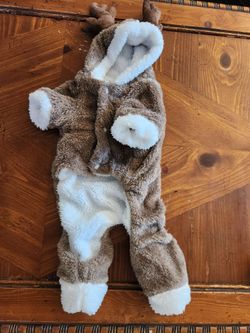 Dog Costumes