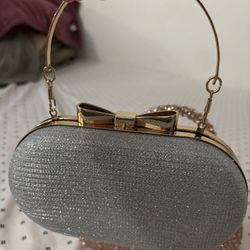 Cute Purse Light Carry $15 