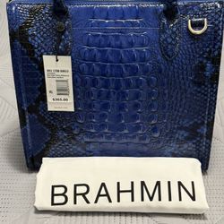 Brahmin Caroline 