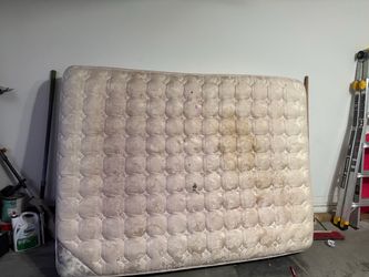 Free Queen mattress
