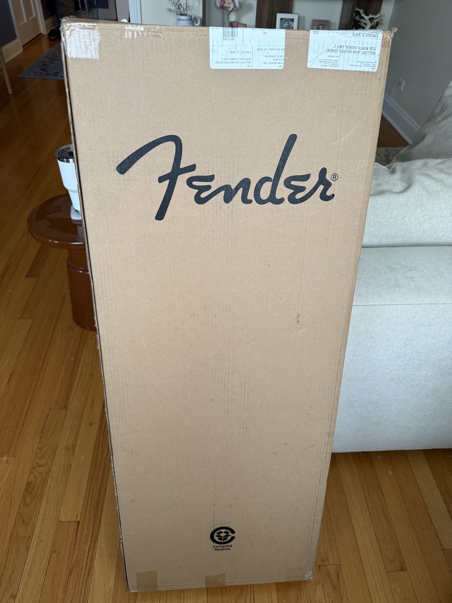 Electric Fender Stratocaster + Amp