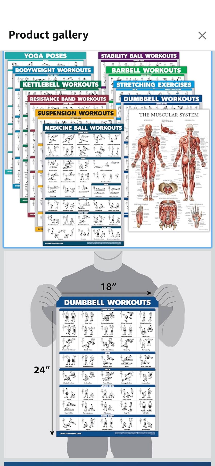 Palace Learning 11 Pack - Exercise Poster Set: Dumbbell, Suspension, Kettlebell, Resistance Bands, Stretching, Bodyweight, Barbell, Yoga, Exercise Bal