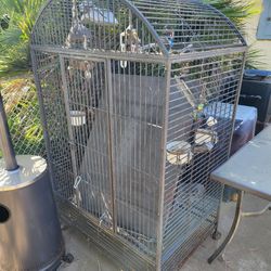Bird Cage