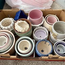 Lot of 30+ Pots for Plants, Succulents, & Propagations 🌿 NEED GONE BY 10/18