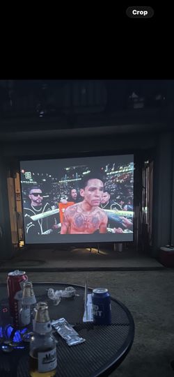 100 Inch Projector Screen